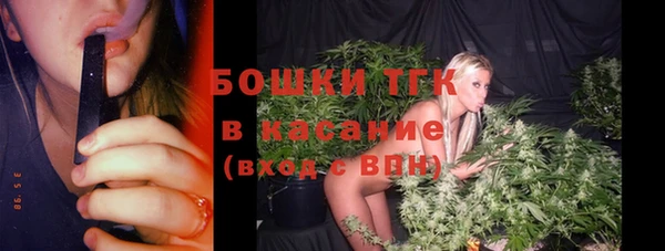 ПСИЛОЦИБИНОВЫЕ ГРИБЫ Вяземский