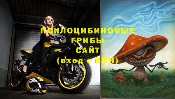 ПСИЛОЦИБИНОВЫЕ ГРИБЫ Волоколамск