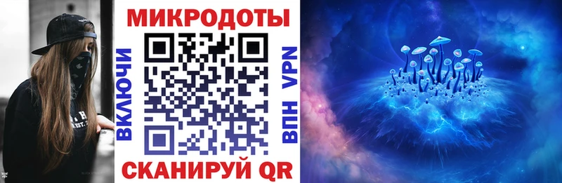 Псилоцибиновые грибы Psilocybe  даркнет сайт  Заполярный 